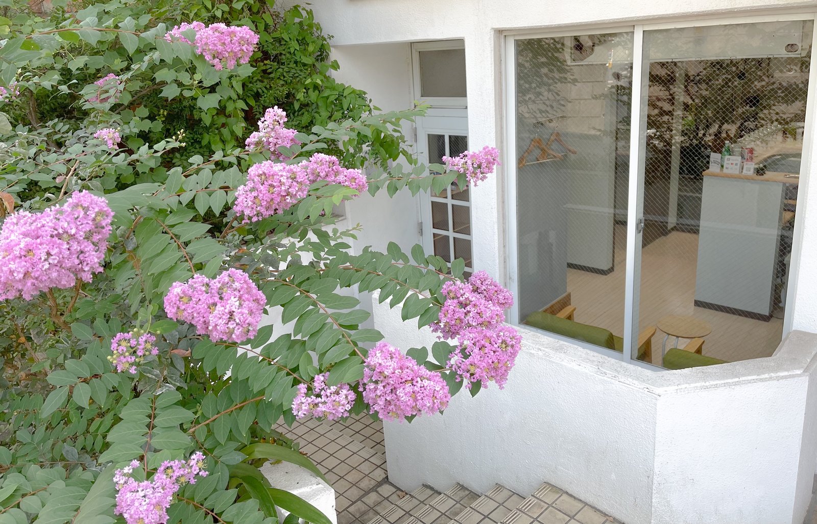大森山王スタジオ 写真2